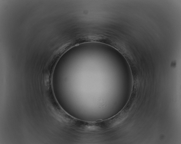 X0000093460360200710191129