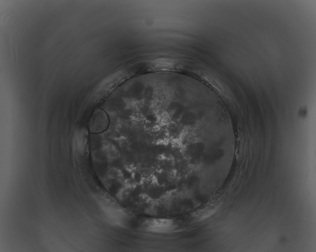 X0000093460361200710191129