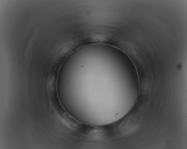 X0000093460364200710191129