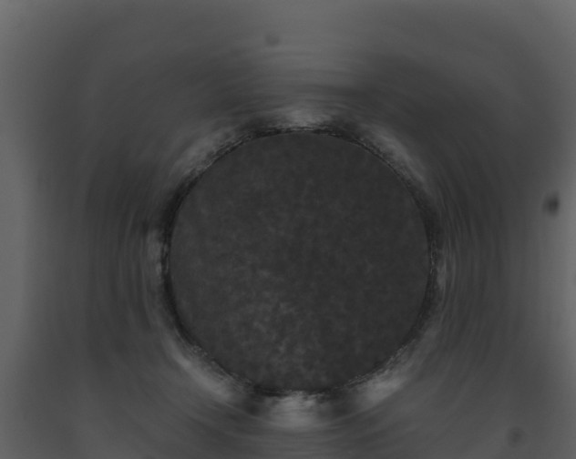 X0000093460366200710191129