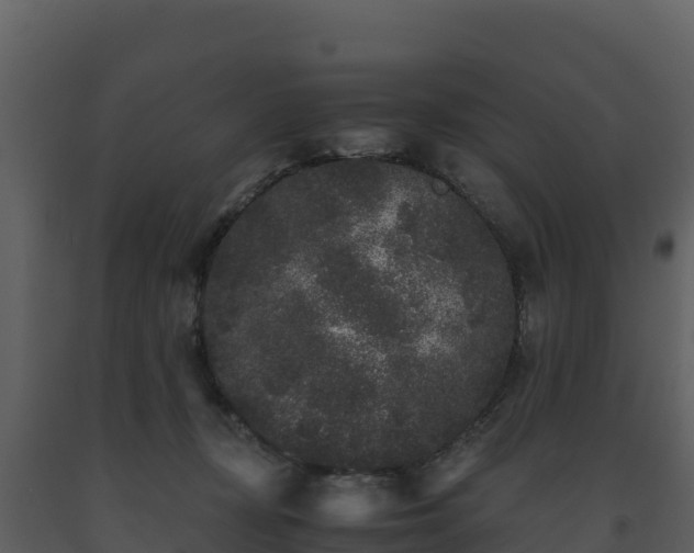 X0000093460367200710191129