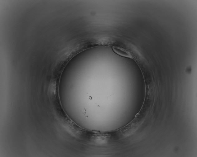 X0000093460368200710191129