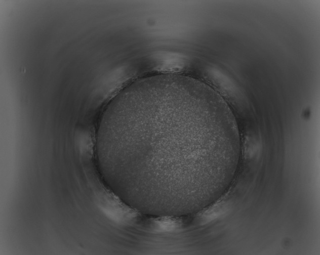 X0000093460370200710191129