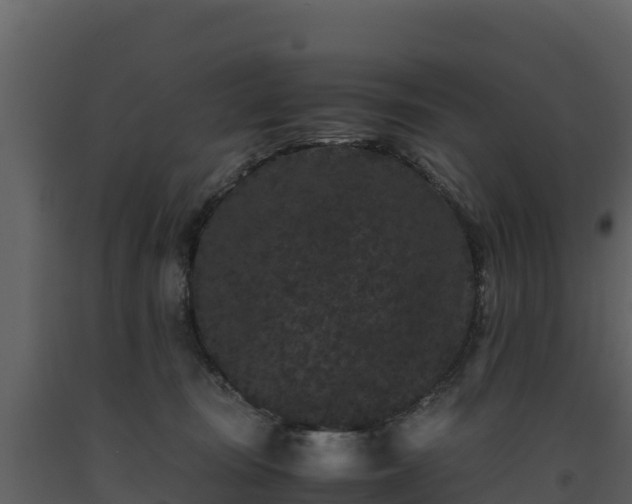 X0000093460371200710191129