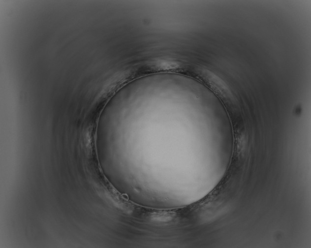 X0000093460373200710191129