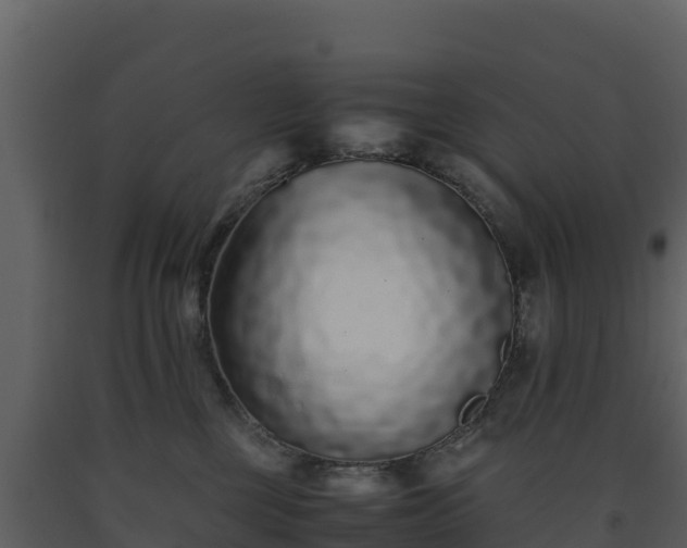 X0000093460377200710191129