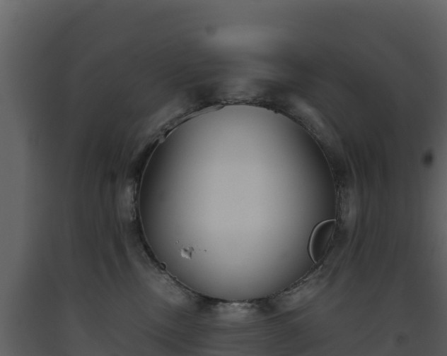 X0000093460378200710191129