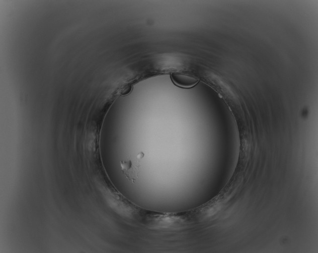 X0000093460379200710191129