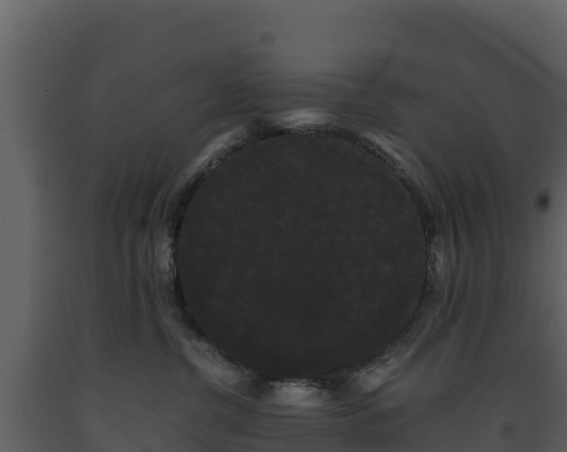 X0000093460380200710191129