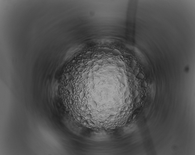 X0000093460381200710191129