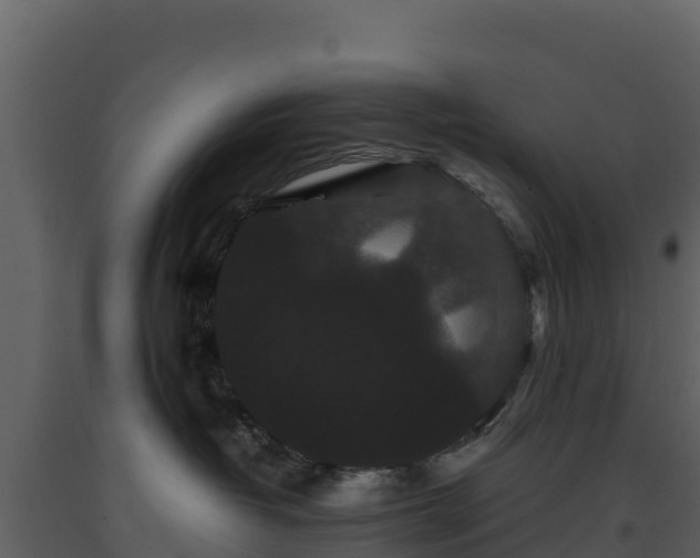 X0000093460382200710191129