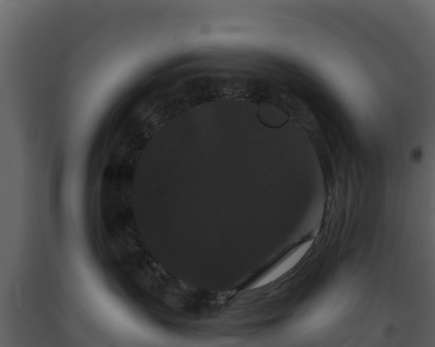 X0000093460383200710191129