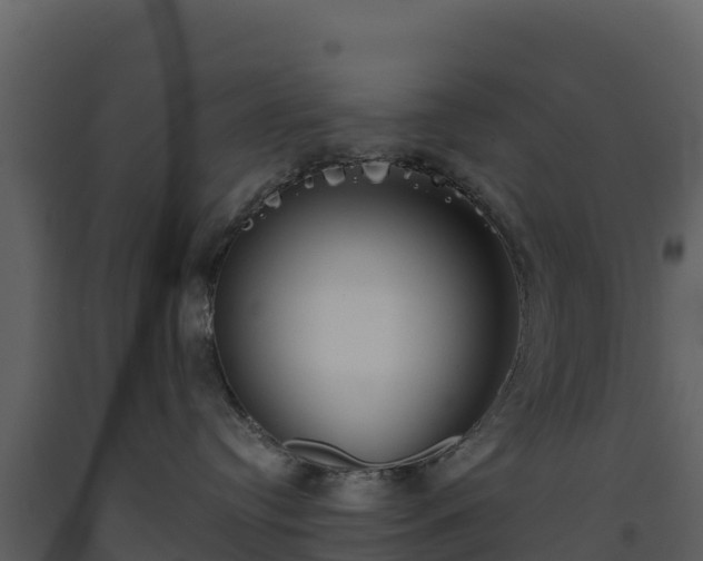 X0000093460384200710191129