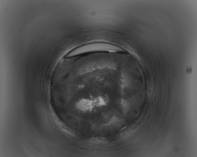 X0000093460386200710191128