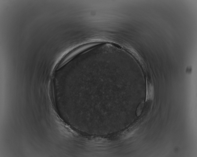 X0000093460387200710191128