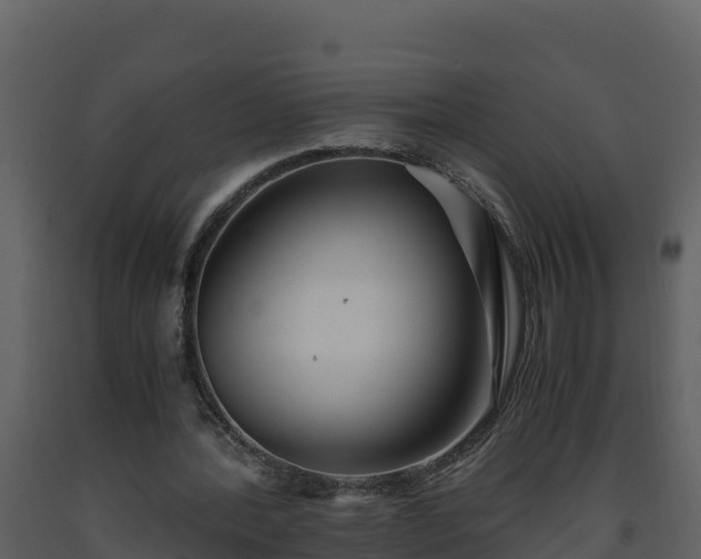 X0000093460388200710191128