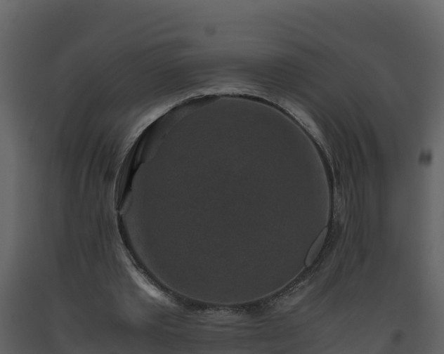 X0000093460389200710191128