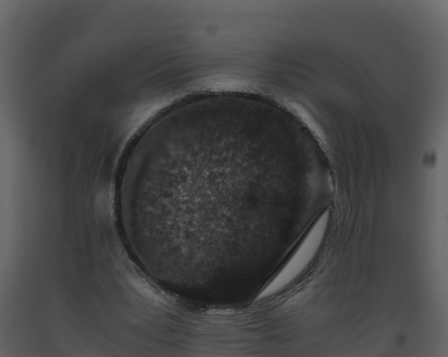 X0000093460391200710191128