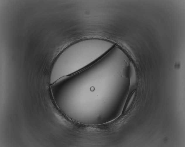 X0000093460393200710191128