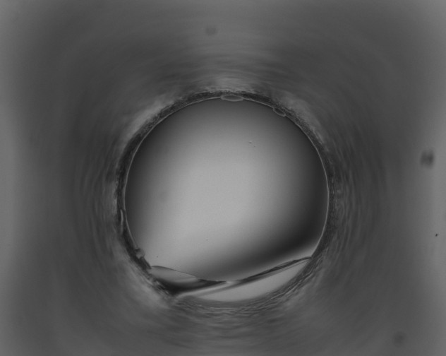 X0000093460395200710191128