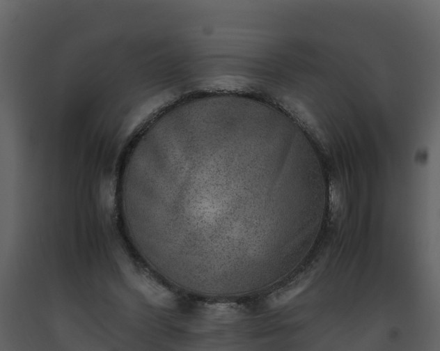 X0000093460396200710191128