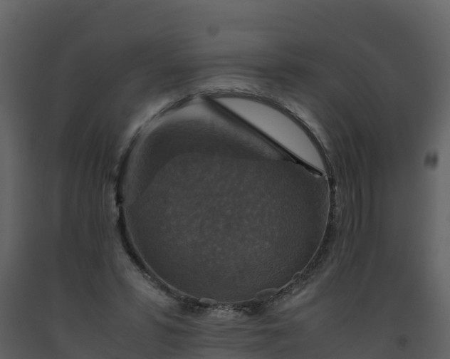 X0000093460399200710191128