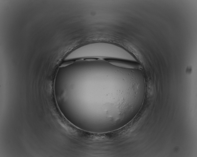 X0000093460401200710191128