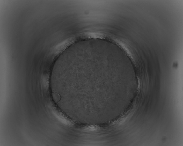 X0000093460402200710191128