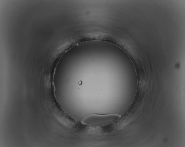 X0000093460403200710191128