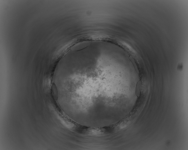 X0000093460405200710191128