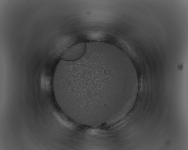 X0000093460408200710191128