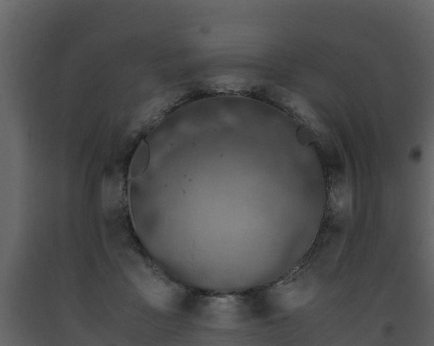 X0000093460411200710191128