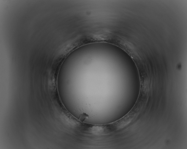 X0000093460418200710191128