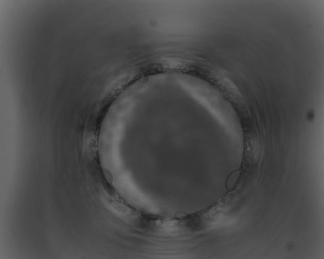 X0000093460419200710191128