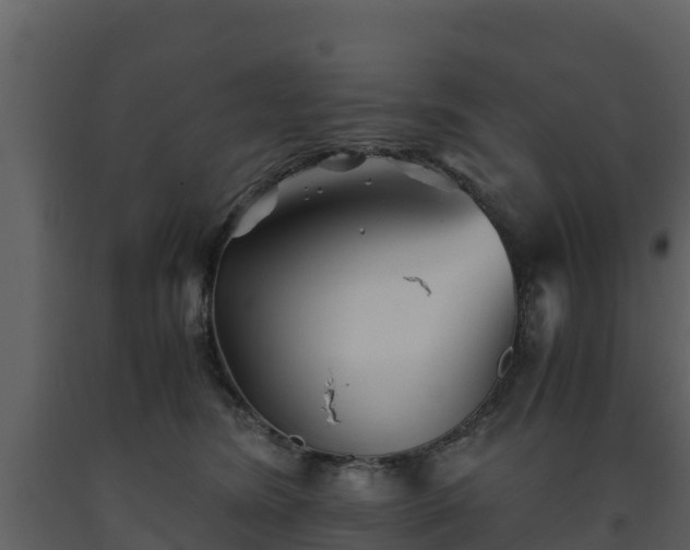 X0000093460420200710191128