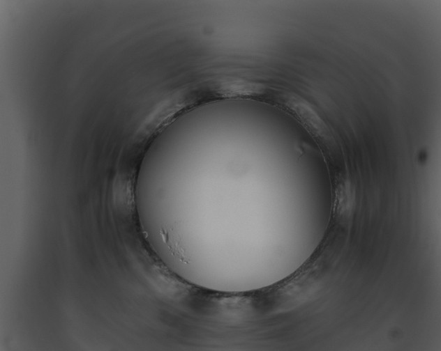 X0000093460426200710191128