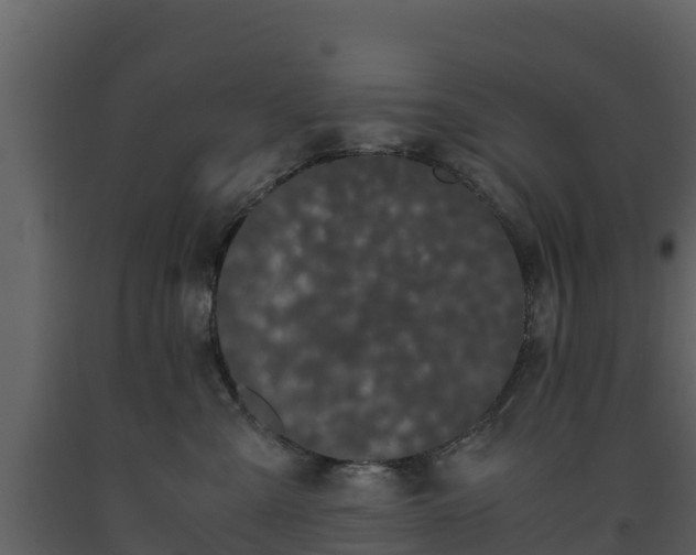 X0000093460427200710191128