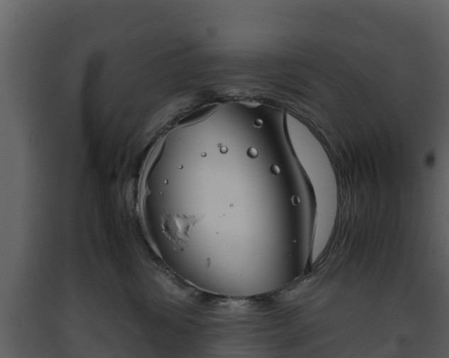 X0000093460428200710191128