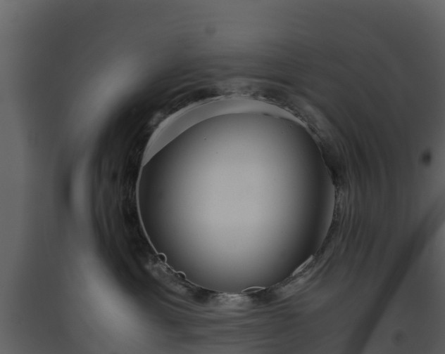 X0000093460429200710191128