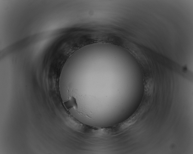 X0000093460430200710191128