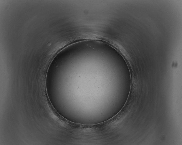 X0000093460433200710191127