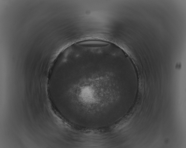 X0000093460434200710191127