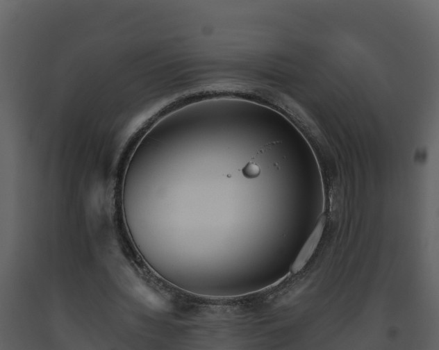 X0000093460436200710191127