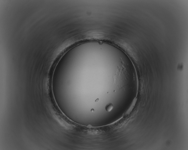 X0000093460439200710191127