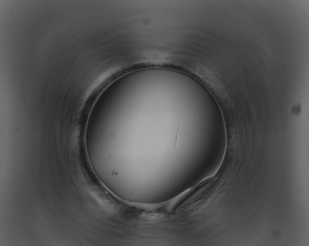 X0000093460440200710191127