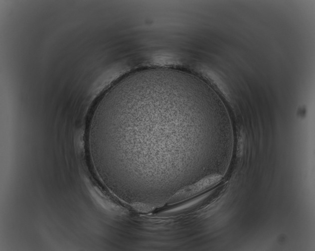 X0000093460443200710191127