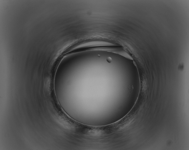 X0000093460444200710191127