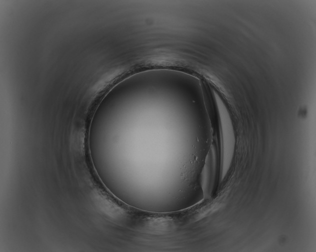 X0000093460446200710191127