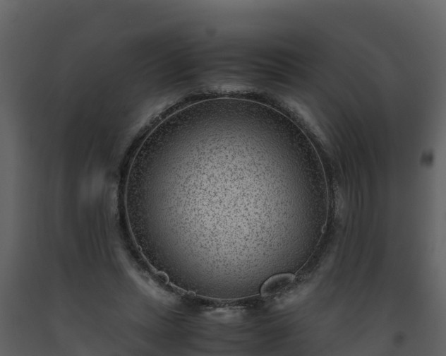 X0000093460447200710191127