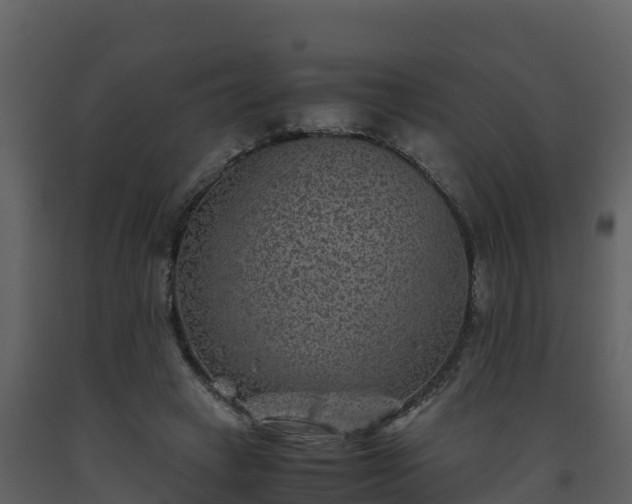 X0000093460449200710191127